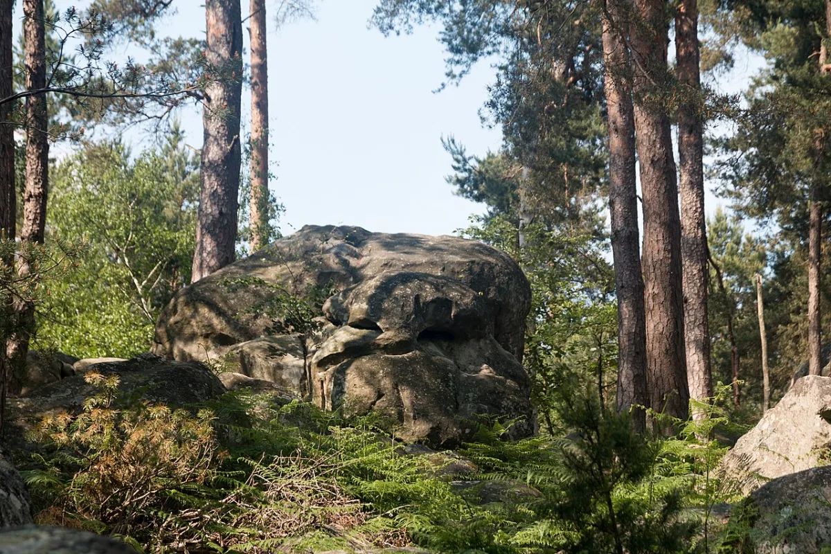 Een grote zandstenen rotsformatie tussen de dennenbomen in het bos van Fontainebleau