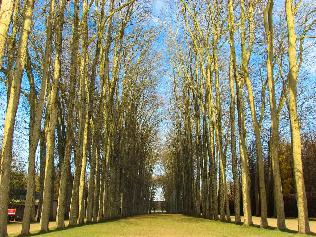 Versailles per fiets verkennen: routes en fietsverhuur in het domein